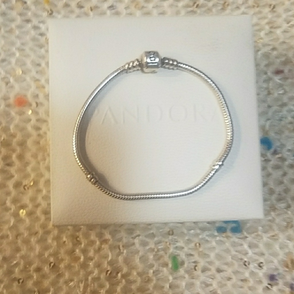 Pandora charm bracelet